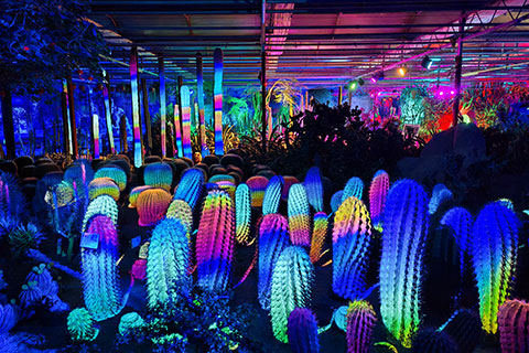 ���绨�ܴ��^�@